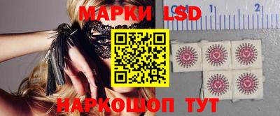 крисы Новозыбков
